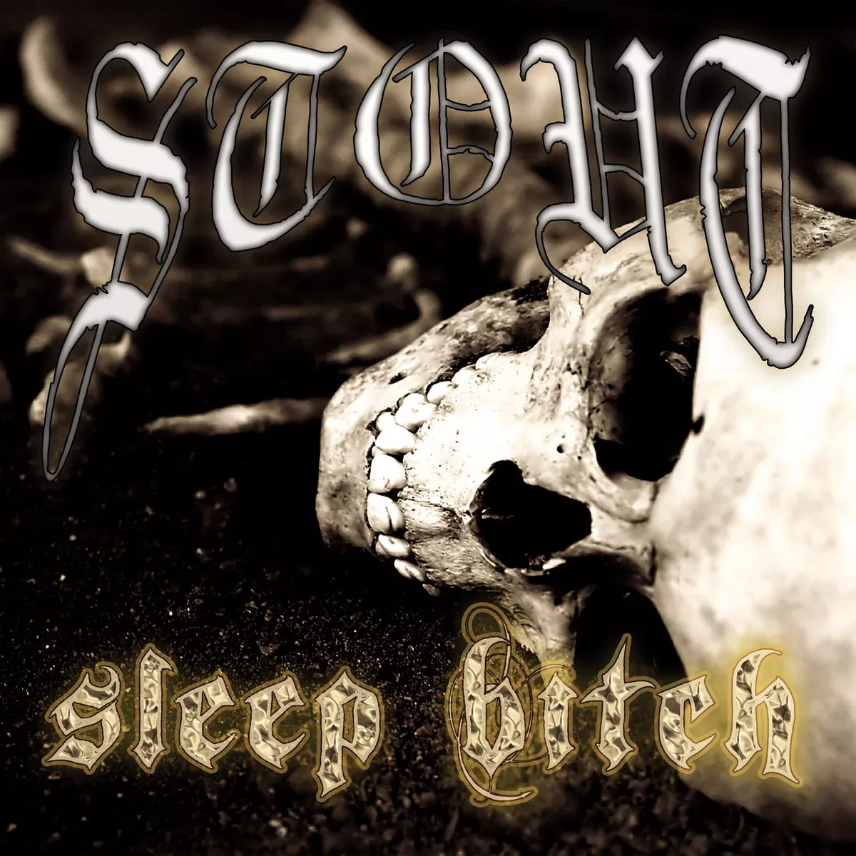 Stout - Sleep Bitch (LP)
