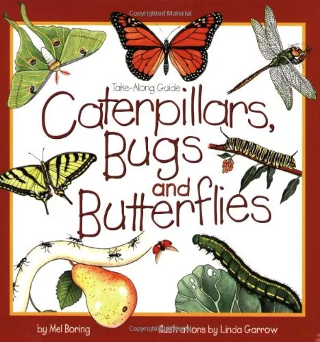 Take-Along Guide: Caterpillars, Bugs and Butterflies - Book