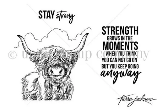 Take No Bull