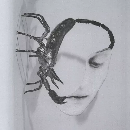 Tortoise - Touch (Vinyl)