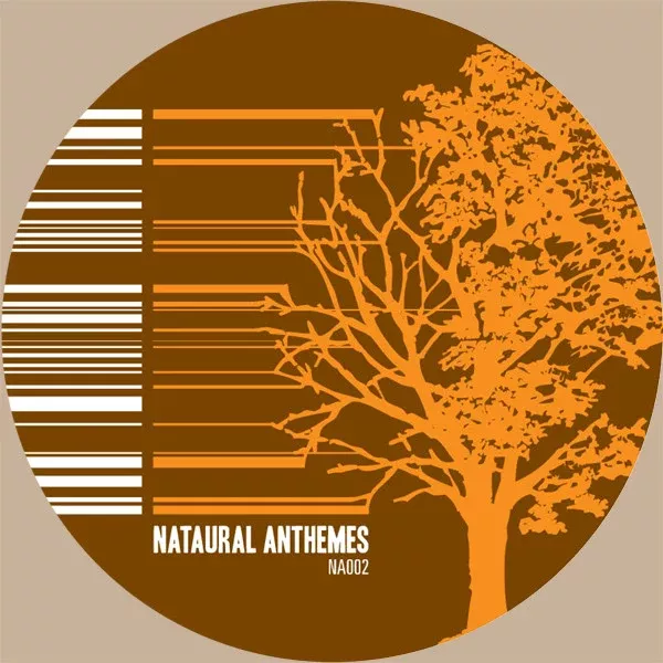 Various - Antheme 02: Studies In Detailed Design (12")