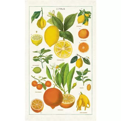 Vintage Tea Towel, Citrus