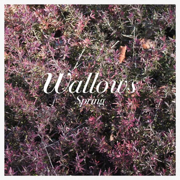 Wallows - Spring (12",45 RPM,EP)