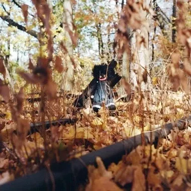 Woods, Billy - Golliwog (Cassette)